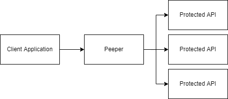 Peeper architecture